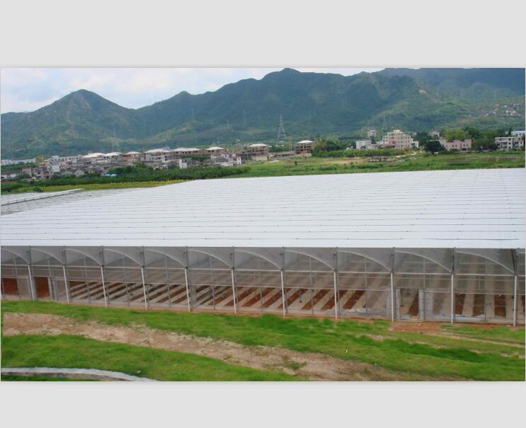 四川蔬菜大棚銷(xiāo)售