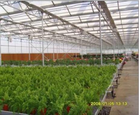 蔬菜大棚銷(xiāo)售