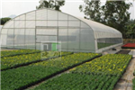 分析溫室大棚在建造過程中，需要注意的問題