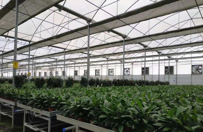 西藏光伏溫室大棚 西藏光伏溫室大棚