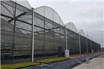 建四川溫室大棚時，如何規(guī)避溫室大棚滴水的現(xiàn)象