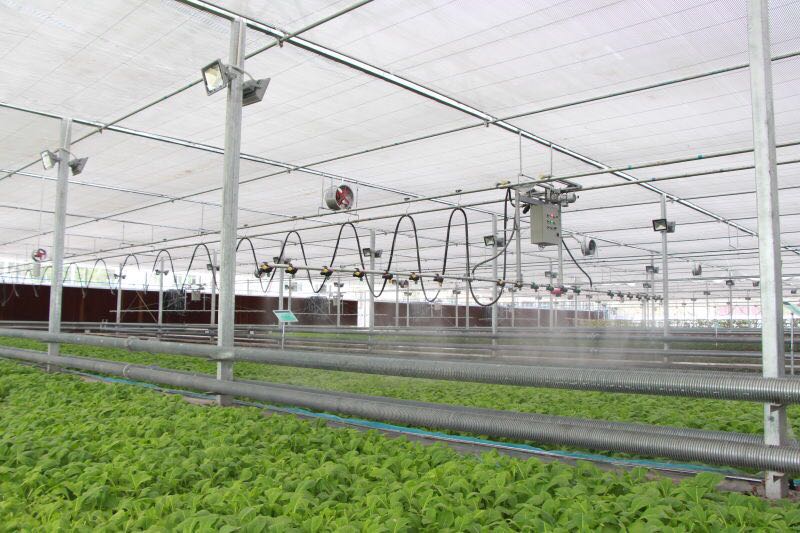 四川雅安玻璃溫室