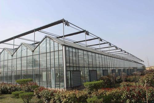 傳統(tǒng)的農業(yè)與溫室大棚有什么區(qū)別，春季應該如何進行通風管理