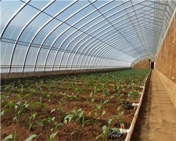 四川溫室大棚的分類(lèi)有這些！