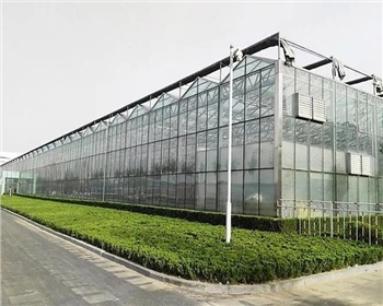 四川溫室大棚種植有哪些優(yōu)點(diǎn)是你還不知道的？