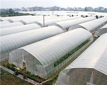 一起來看看四川蔬菜大棚種植知識，這七點你必須知道！